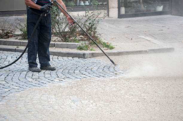 Best Fence Cleaning and Maintenance in Avondale, AZ